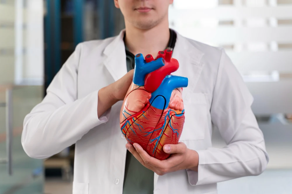 cardiology